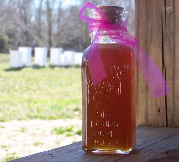 Hickory Hollow Honey