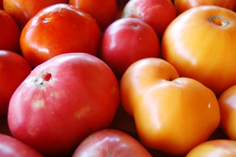 Malcolms Market Garden
