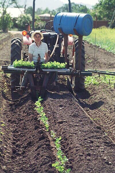 Tierra Vegetables Farm