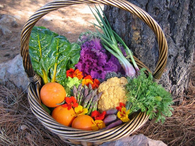 Flagstaff Community Supported Agriculture