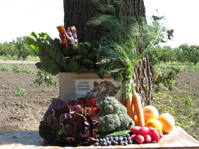 Eating with the Seasons