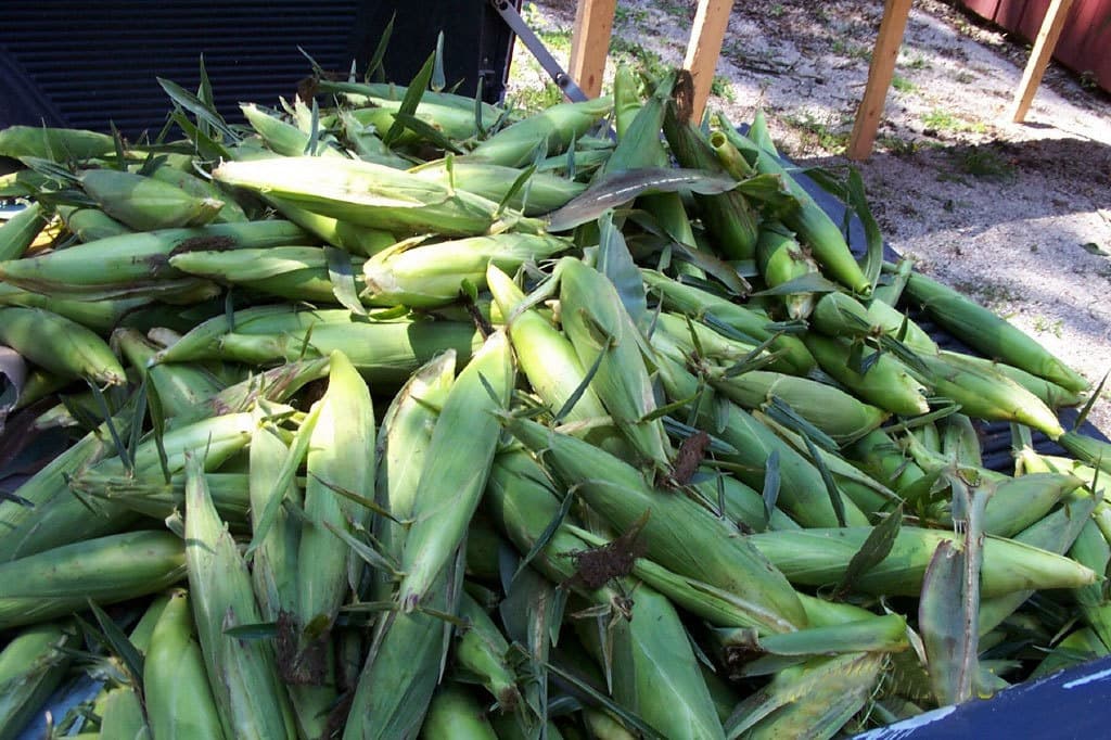 Audis Acres Natural Farms