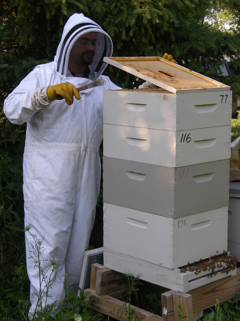 Craig's Hilltop Honey