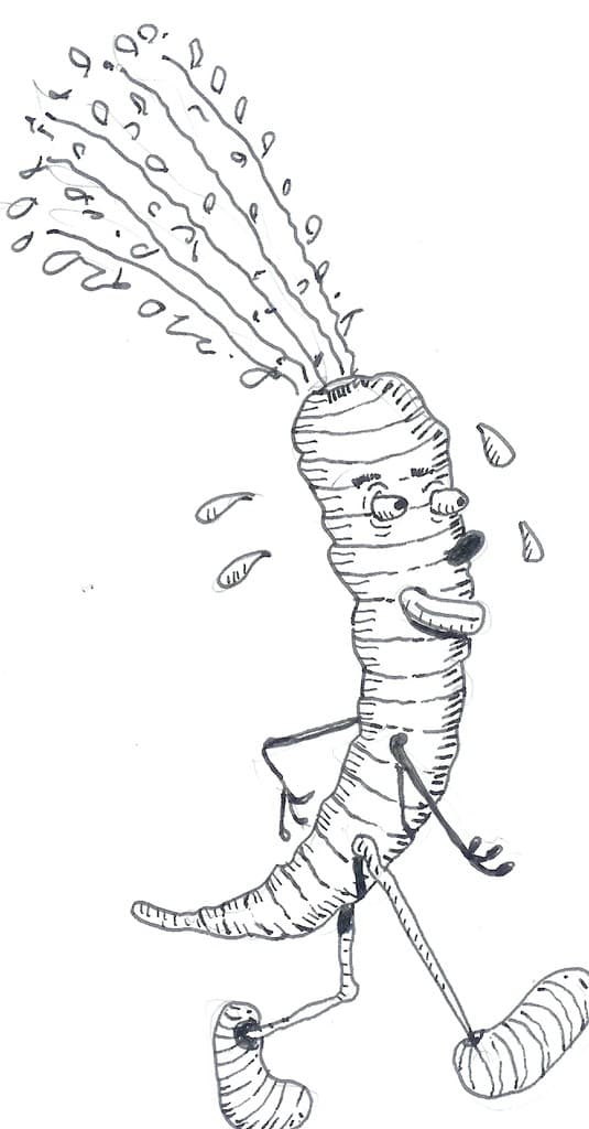 Plow to Porch Organics, Inc