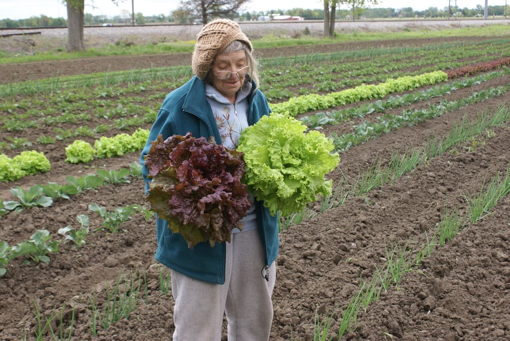 Valley Family Farm  / www.ValleyFamilyFarm.com