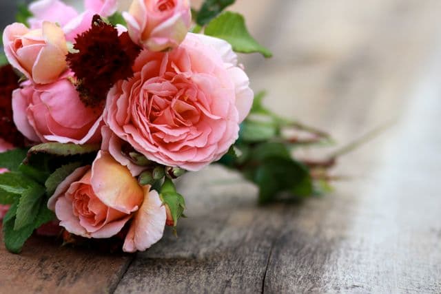 Roost Flowers & Designs