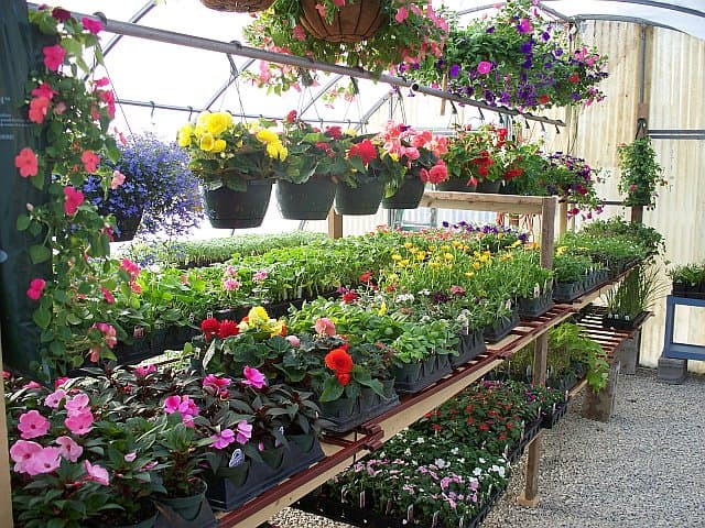 Adams Greenhouse & Produce LLC