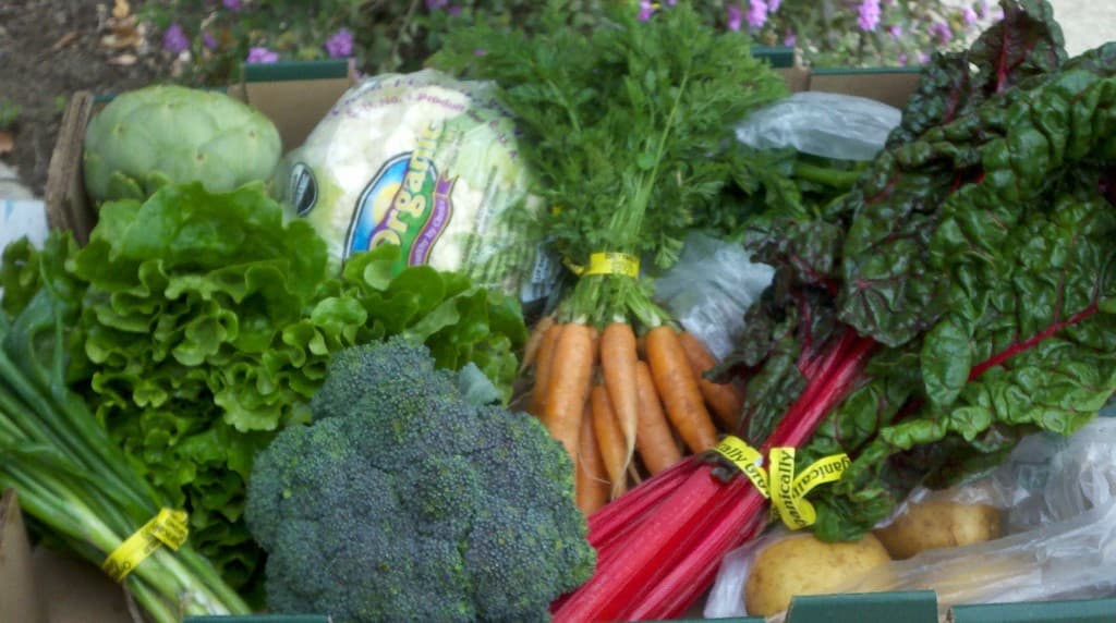 Blosser Urban Garden