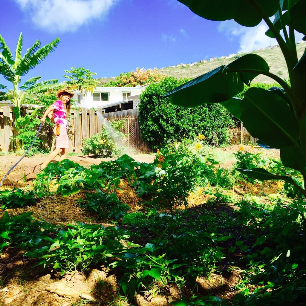 Mahina Pua Farm LLC