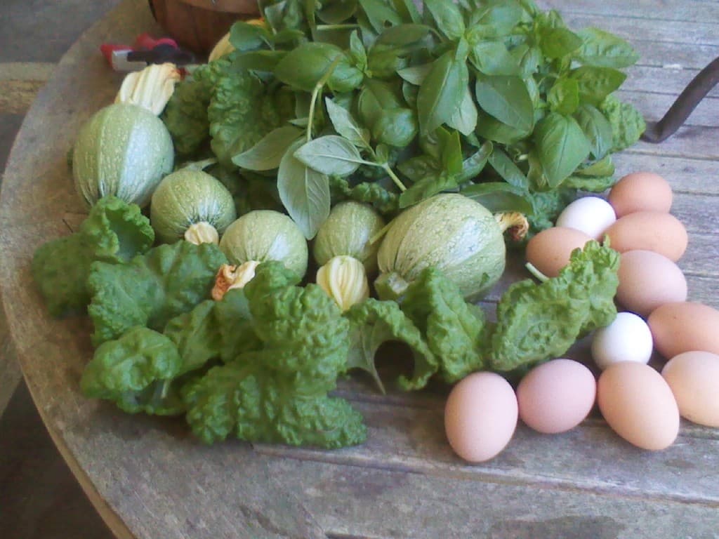 Locavore Lessons with Rebecca