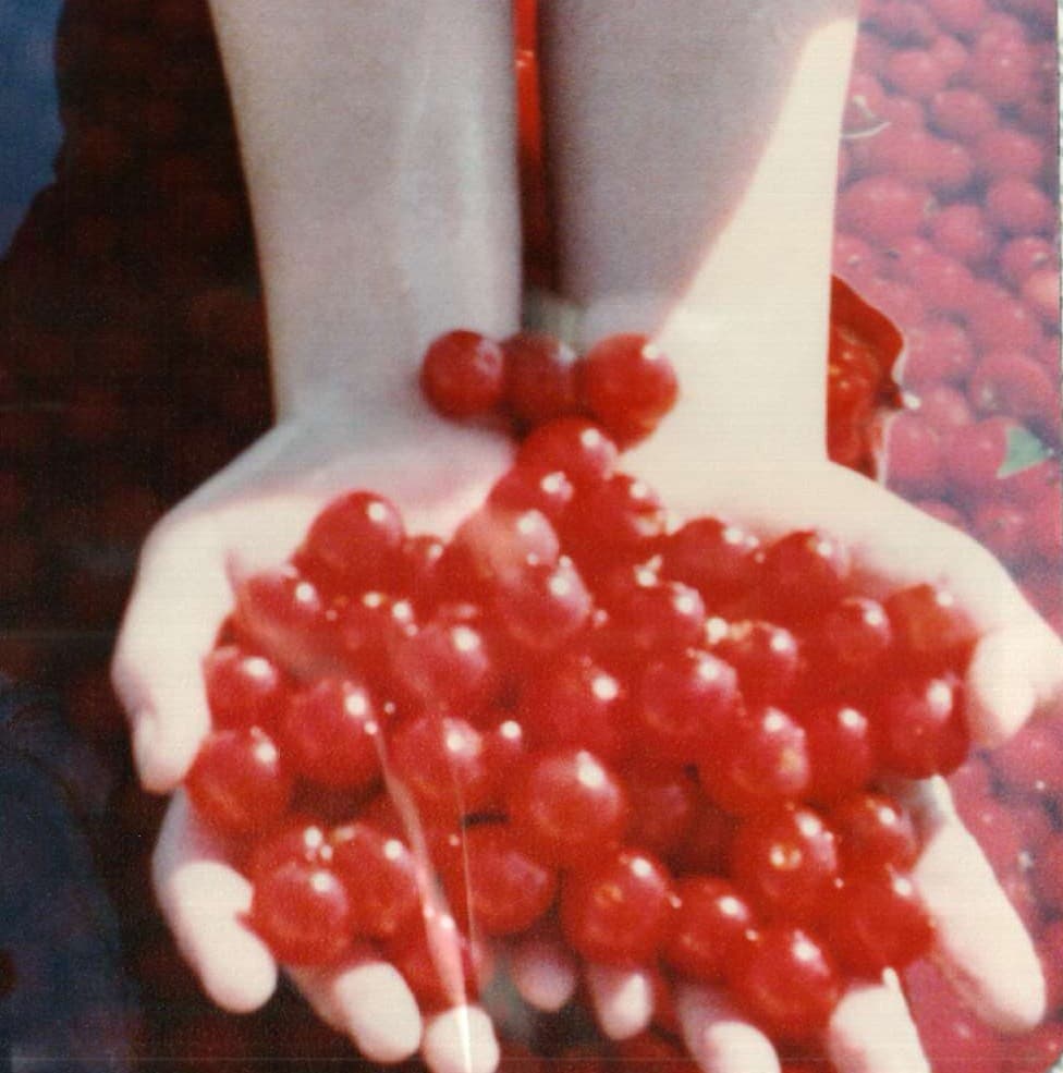 McManus Southview Orchards/Farm Market