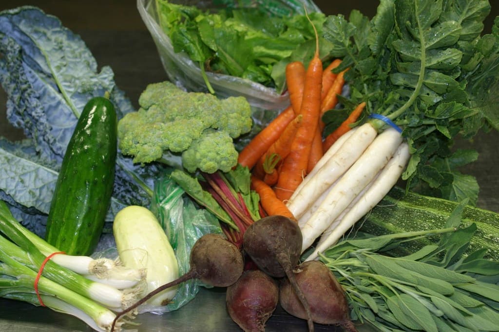 Primrose Valley Farm