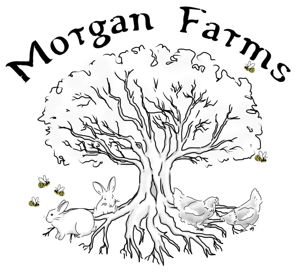 Morgan Farms