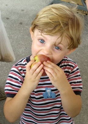 Franklin Farmers Market