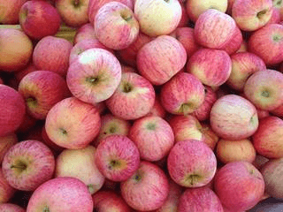 Daly City Certified Farmers' Market