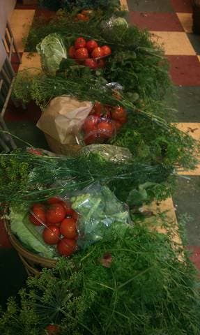 Bertrand Farm at Good Shepherd Montessori School