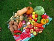 Bridgeport South End Fresh Market