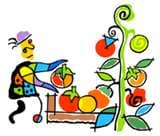 King Street Station Farmers' Market