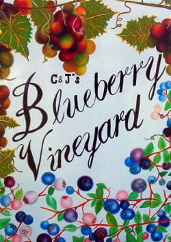 C & J's Blueberry Vineyard and Suwannee River Valley Winery, llc