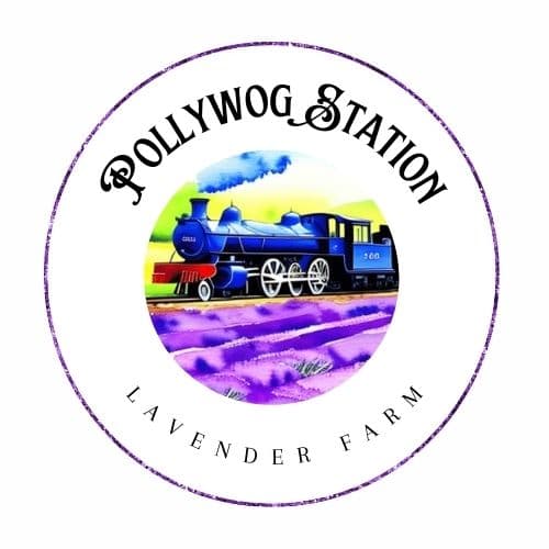 Pollywog Station Lavender Farm