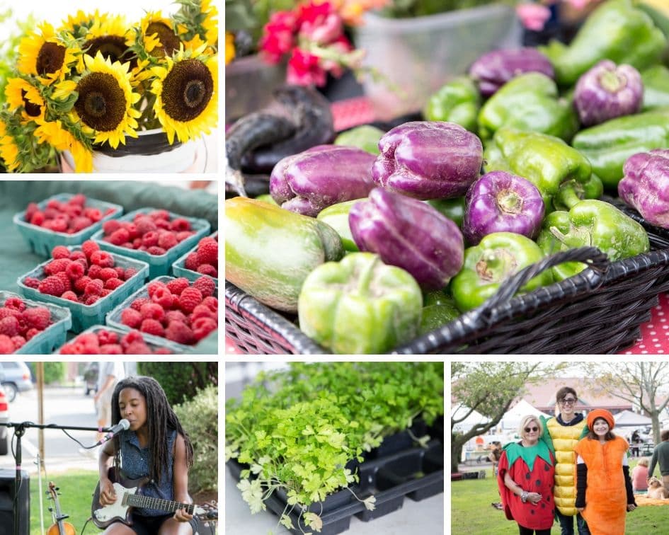 Beverly Farmers' Market