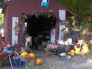 Chicken Scratch Farm