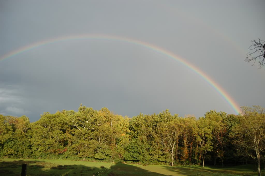 McGuire Family Farms
