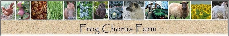 Frog Chorus Farm