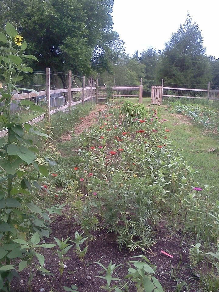 Humble Farm *small farm big heart*