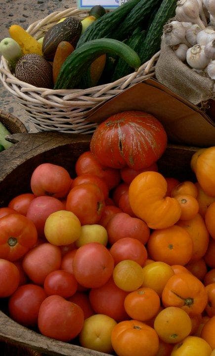 Urban Oaks Organic Farm