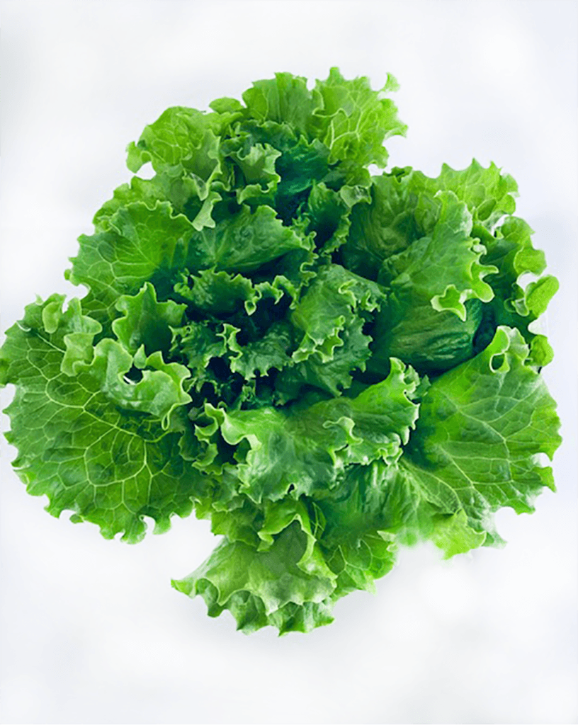 Organic Aqua Fresh, Inc