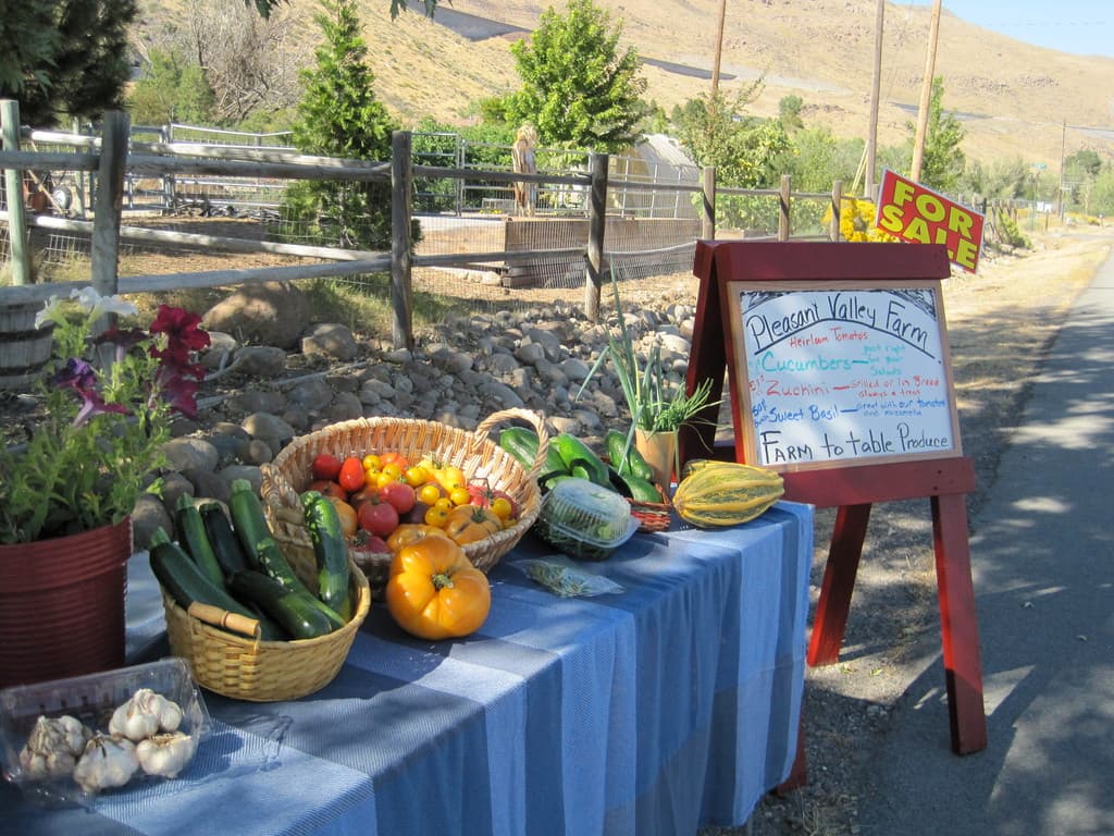 Pleasant Valley Farm