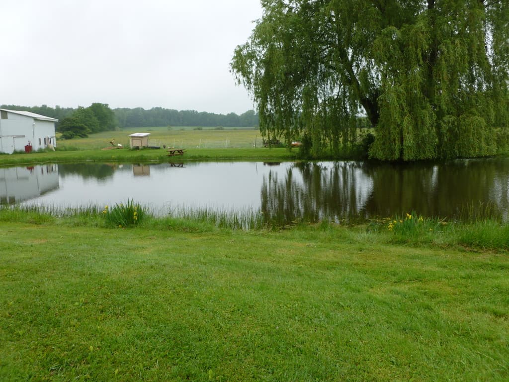 Steady Plow Farm, LLC