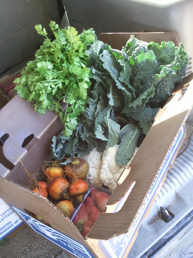 Pisga Organics - Food grown with love.