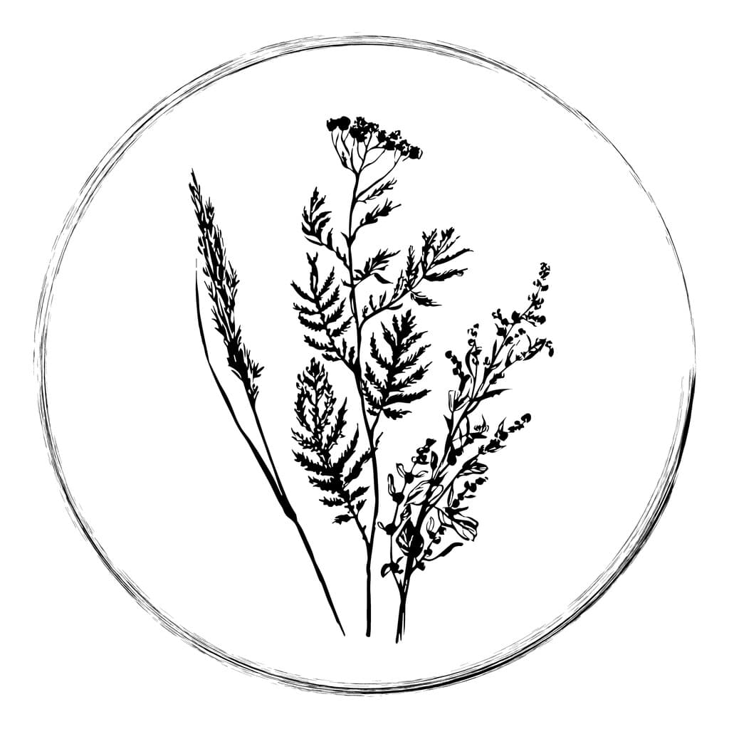 Artemisia Farm and Vineyard