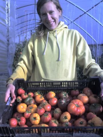 The Local Choice Food Box