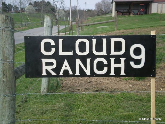 Cloud 9 Ranch