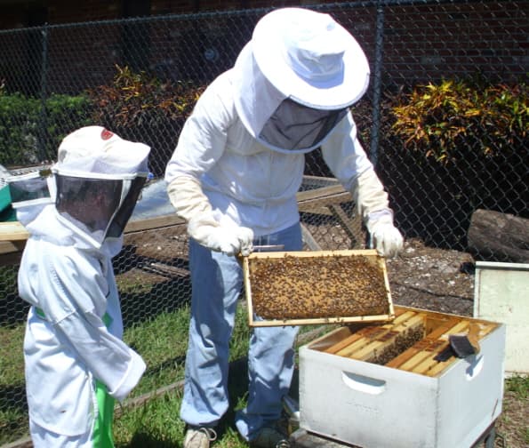 Bee Healthy Honey Farms