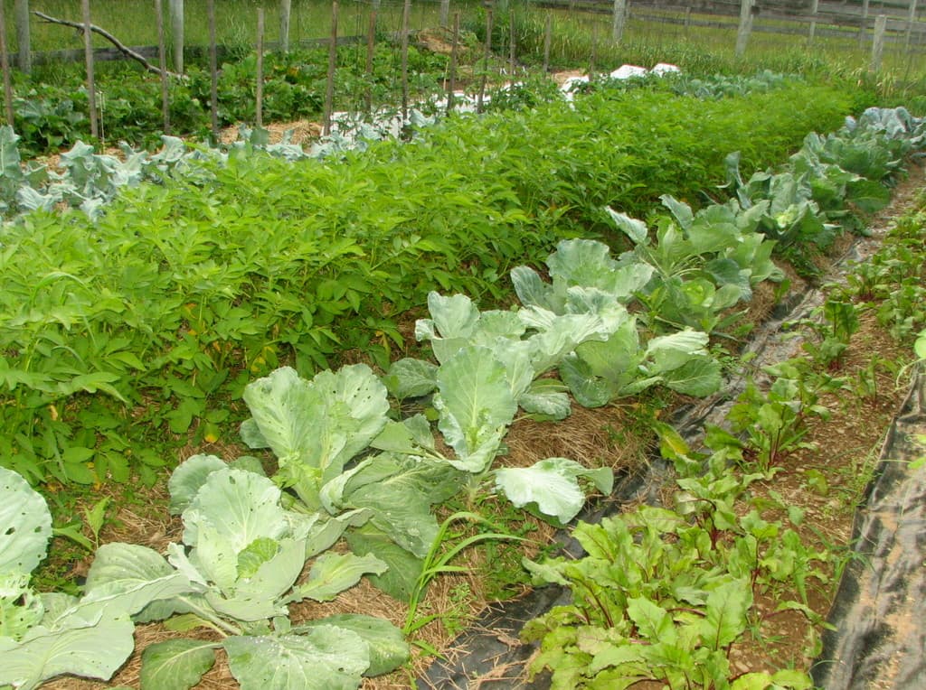 Wind Dance Farm & Earth Education Center
