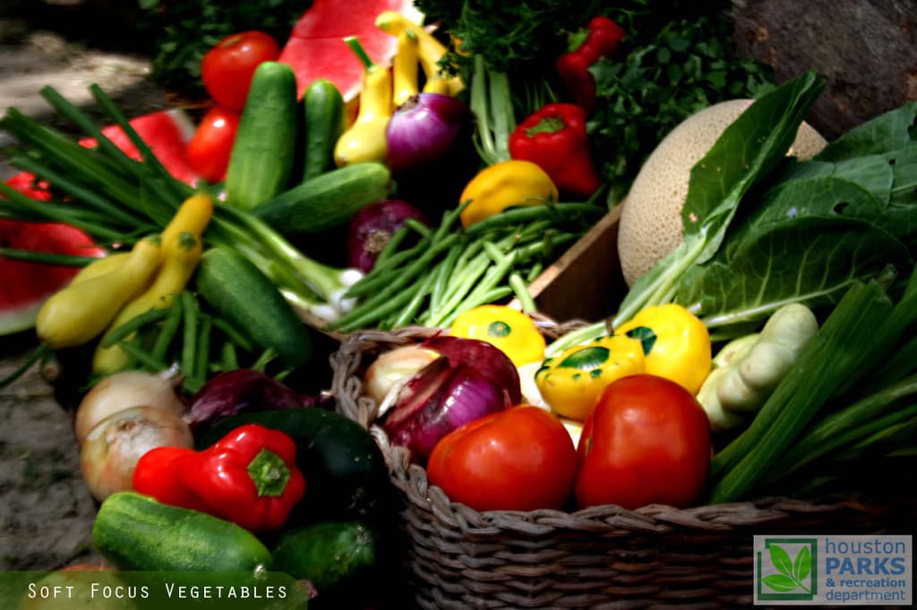 The Avenue at White Marsh Farmers Market