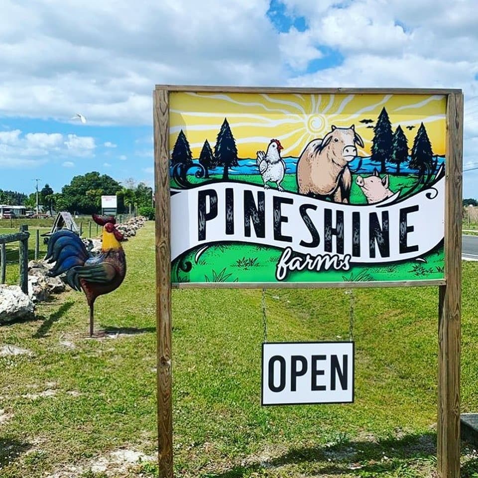 Pineshine Farms