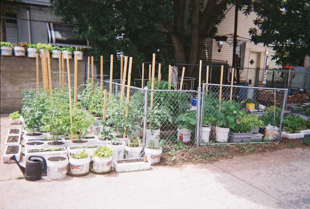 calico abundant garden