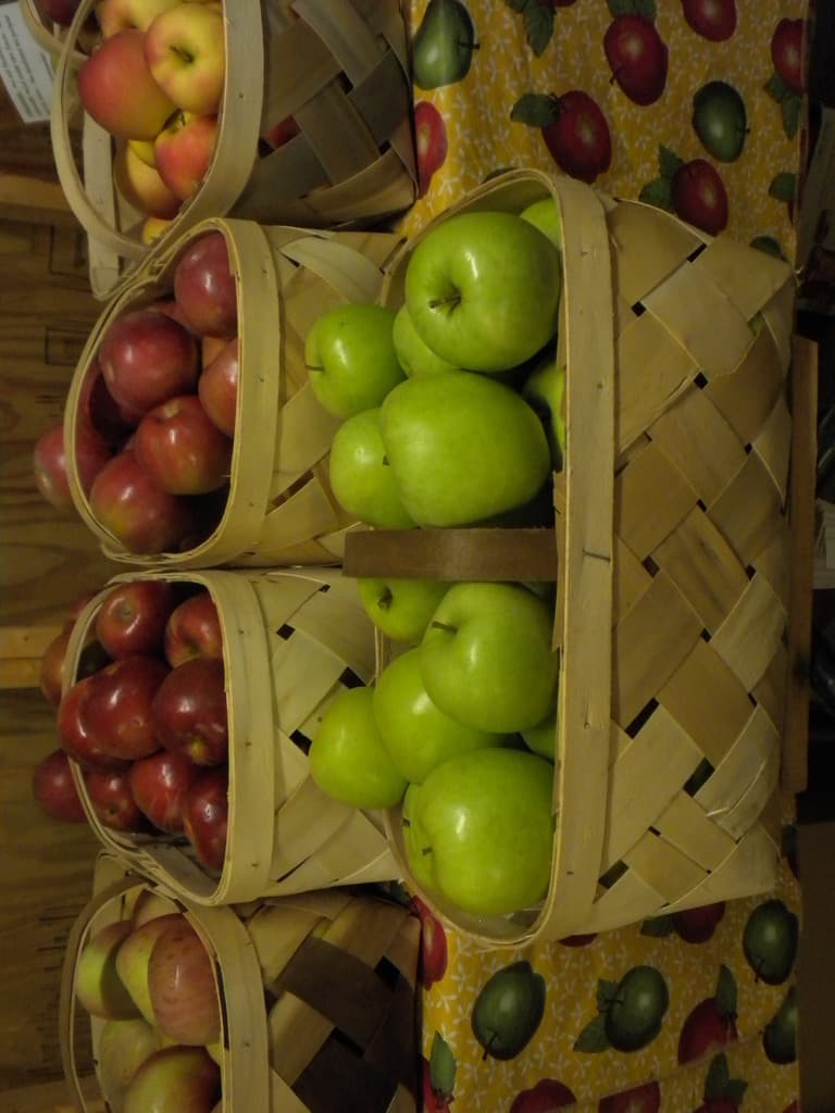 Apple of His Eye Orchard, LLC