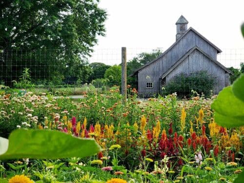 Golden Acres Farm LLC