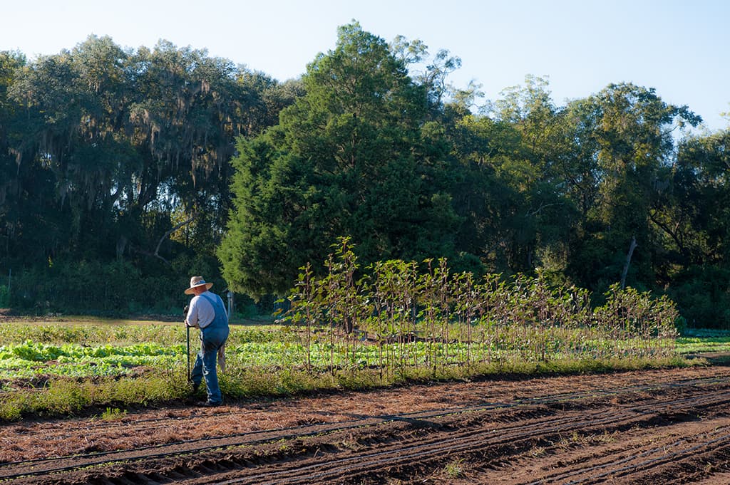 Orchard Pond Organics