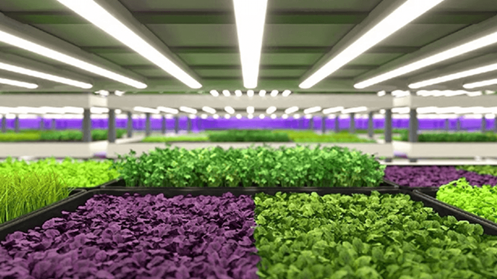 Brickell Micro Farms