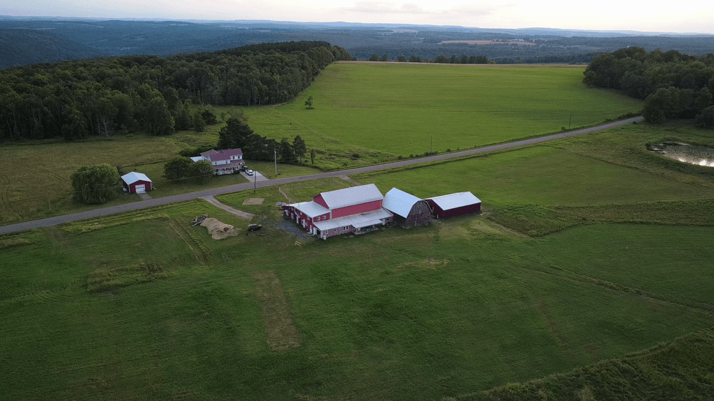 Silver Pastures Permaculture