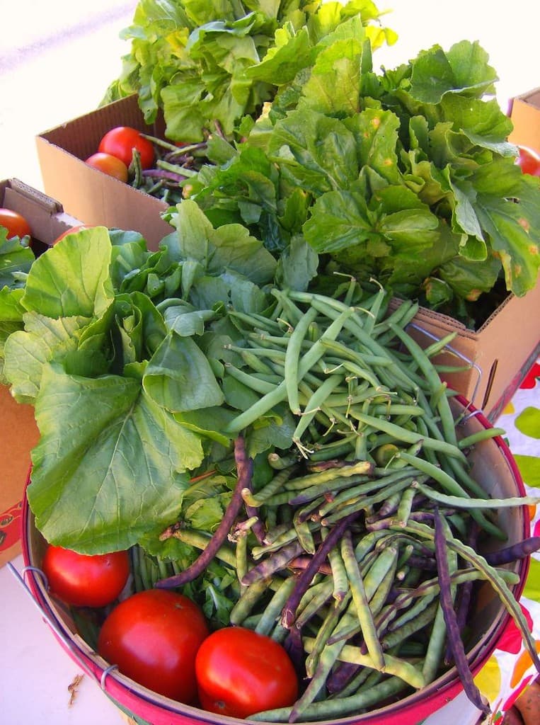 East Lake Farmers Market - CSA