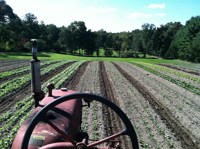 Brookwood Community Farm