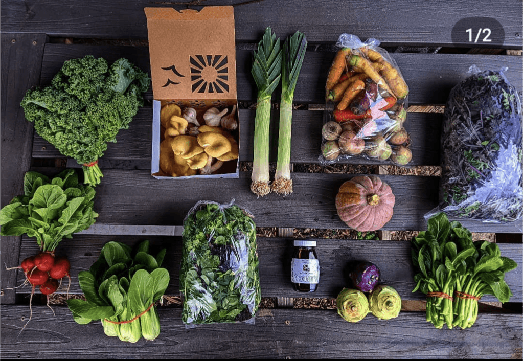 Groundwork Market Garden